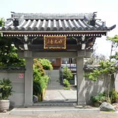 妙光寺（平井・江戸川区）